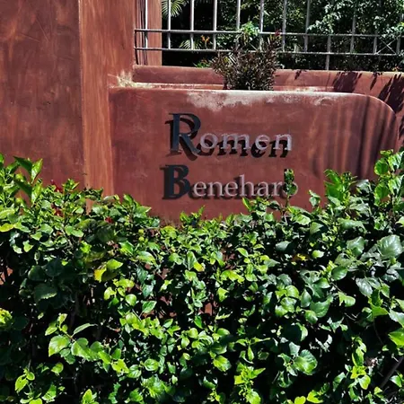 Beneharo 1 * Palm-mar